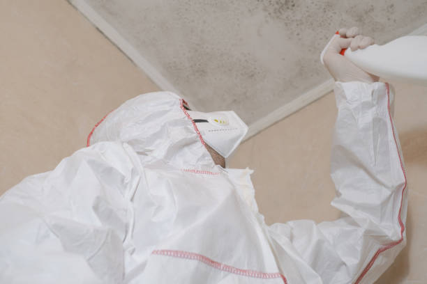 Best Toxic Mold Removal  in Assumption, IL